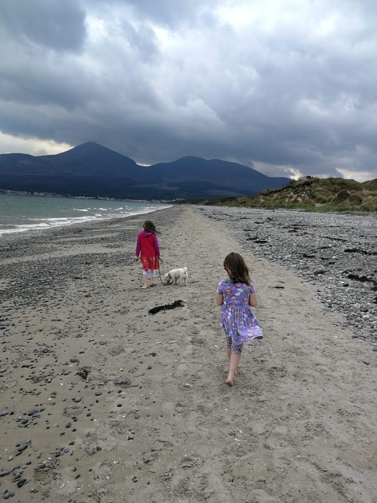 Two children walking on the beach with their dog