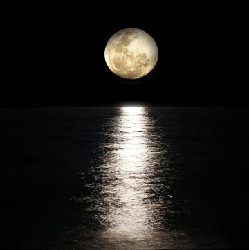 The full moon reflecting on the sea