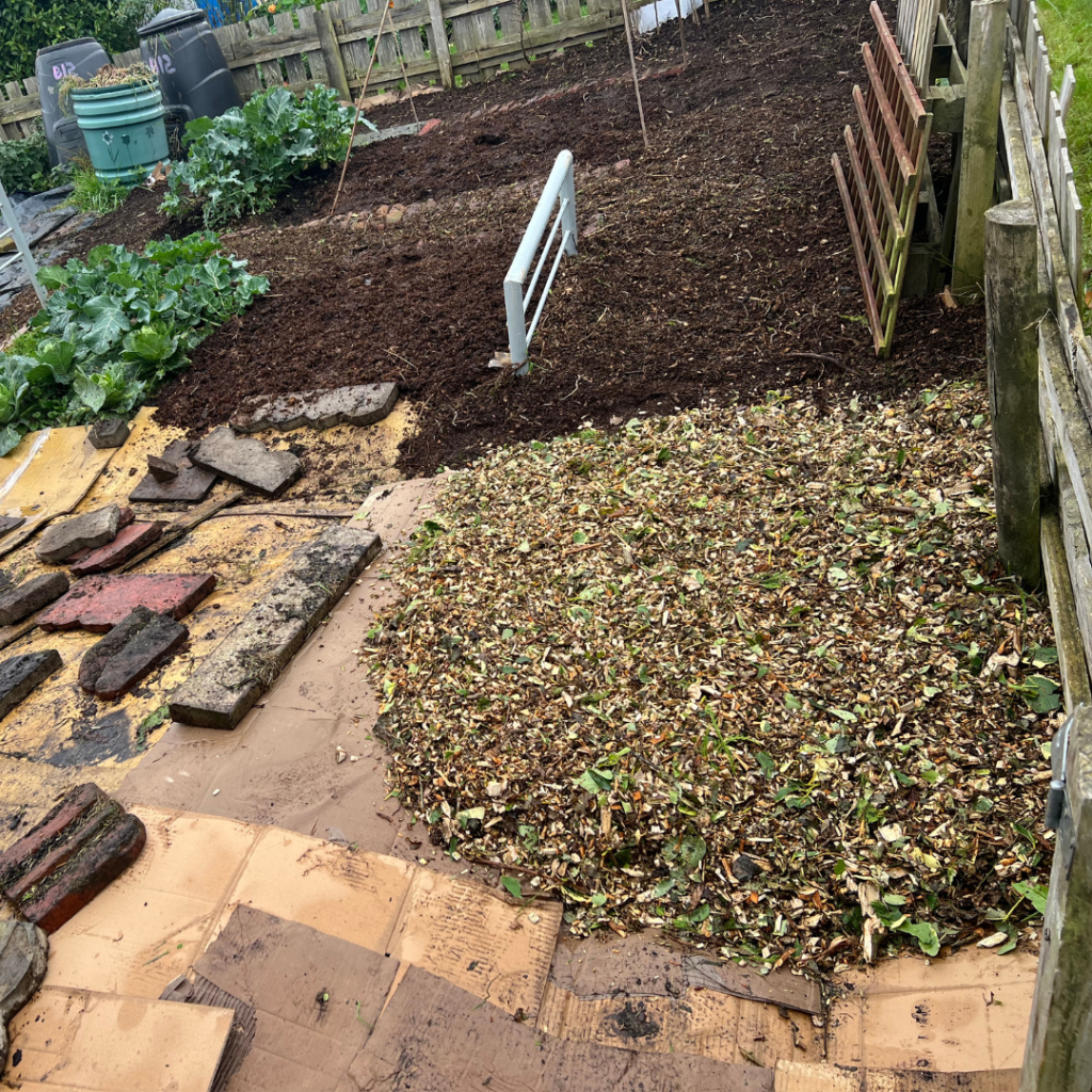 Using a range of mulching options at the allotment
