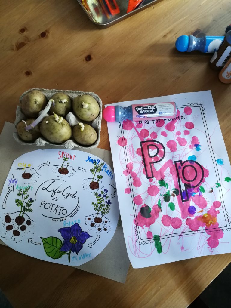 Selection of materials for learning about potatoes