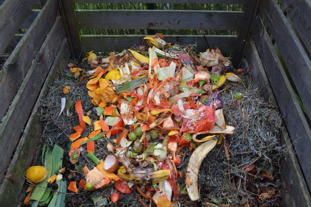 Food scraps sitting on a Compost pile 