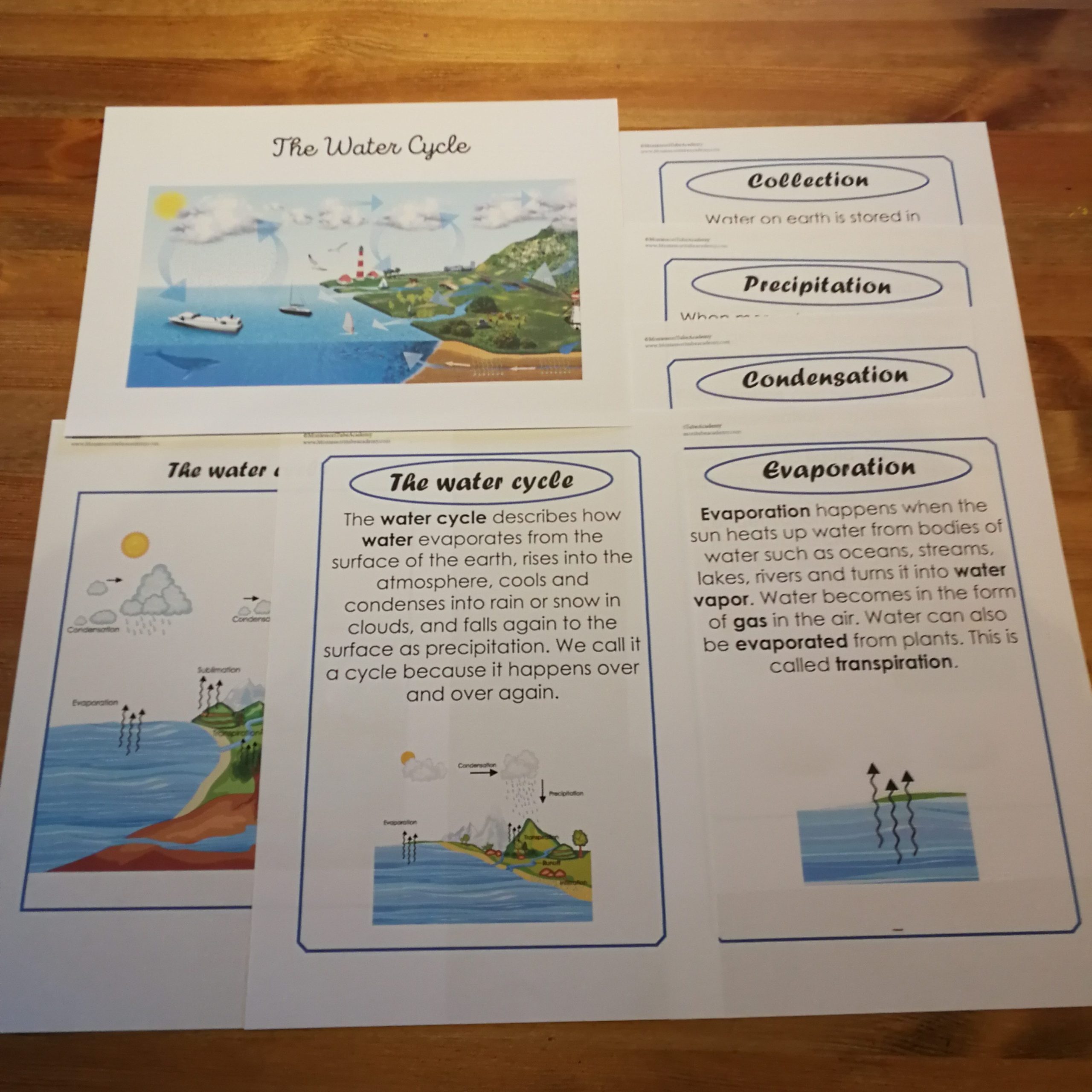 Pages outlining the water cycle laid out on a table