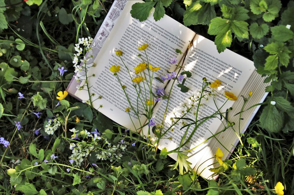 Book laying in the grass 
